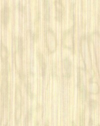 Sh200 Sun by  Kasmir 