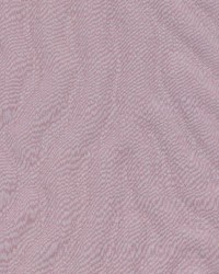 Shackleton Aubergine by  Kasmir 