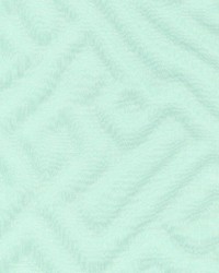 Shackleton Caribe by  Kasmir 