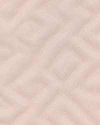 Shackleton Carnation by  Kasmir 