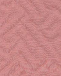 Shackleton Ruby by  Kasmir 