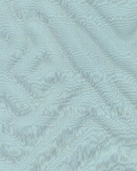 Shackleton Spruce by  Kasmir 