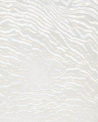 Shania Ice by  Kasmir 