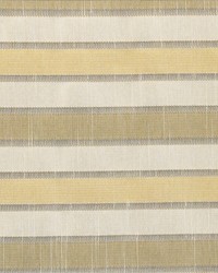 Shapiro Brie by  Kasmir 