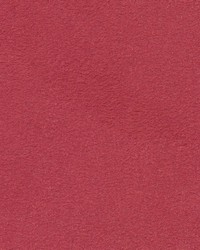 Shaw Carnation by  Kasmir 