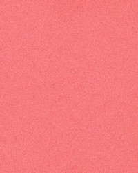 Shaw Poppy by  Kasmir 