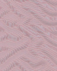 Shawbrook Berry by  Kasmir 