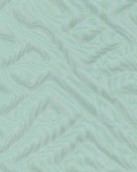 Shawbrook Ivy by  Kasmir 