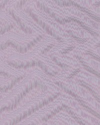 Shawbrook Purple by  Kasmir 