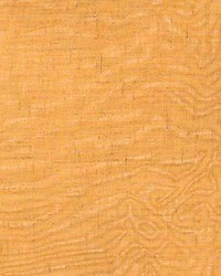 Shayna Citrus by  Kasmir 