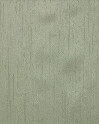 Siam Eucalyptus by  Kasmir 