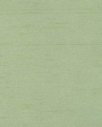 Siam Sage by  Kasmir 