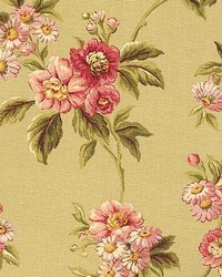 Sp130 Sage by  Kasmir 