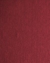 Sp200 Crimson by  Kasmir 