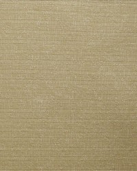 Sp200 Straw by  Kasmir 