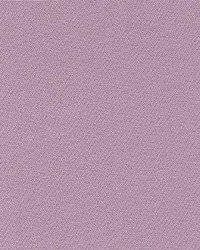 Sp202 Violet by  Kasmir 