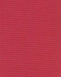 Sp210 Blossom by  Kasmir 