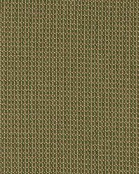 Sp210 Leaf by  Kasmir 