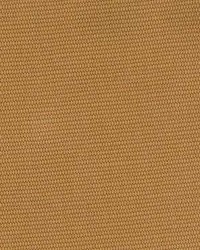 Sp214 Almond by  Kasmir 