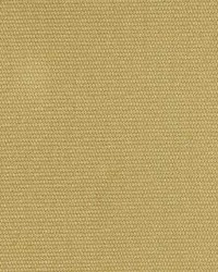 Sp214 Avocado by  Kasmir 