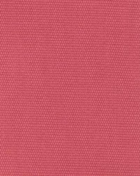 Sp214 Azalea by  Kasmir 