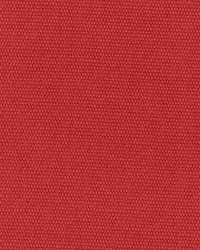 Sp214 Rose by  Kasmir 