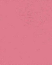 Sp215 Rose by  Kasmir 