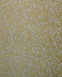 Sp317 Khaki by  Kasmir 