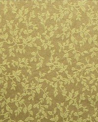 Sp317 Linen by  Kasmir 