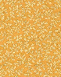 Sp324 Gold by  Kasmir 