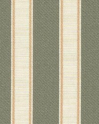 Sp328 Caribe by  Kasmir 