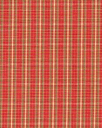 Sp332 Tearose by  Kasmir 