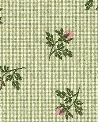 Sp337 Sage by  Kasmir 