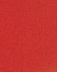 Spear Spice by  Kasmir 