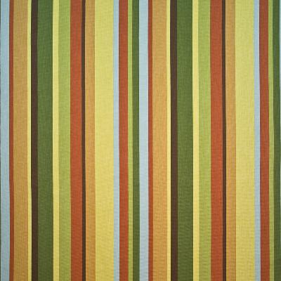 Kasmir St Barts Stripe Fiesta in Great Expectations Volume 1 Multi Drapery-Upholstery Cotton Fire Rated Fabric Wide Striped   Fabric