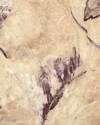 Stalberg Charcoal by  Kasmir 