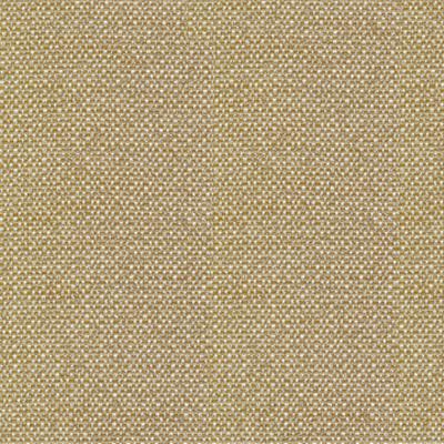 Kasmir Standing Ovation Amberglow in Rave Reviews Multipurpose Polyester Solid Beige   Fabric