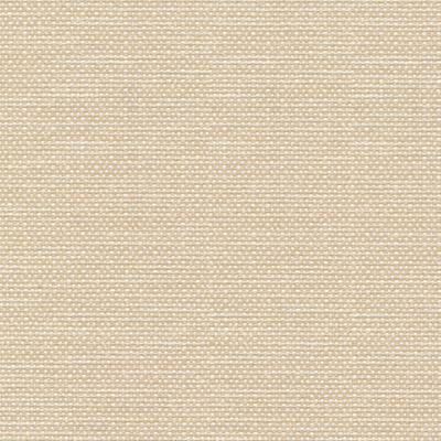 Kasmir Standing Ovation Cameo in Rave Reviews Multipurpose Polyester Solid Beige   Fabric