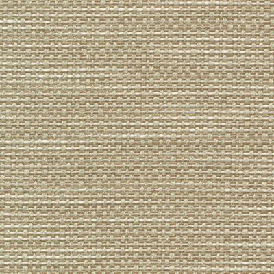 Kasmir Standing Ovation Frost in Rave Reviews Multipurpose Polyester Solid Beige   Fabric