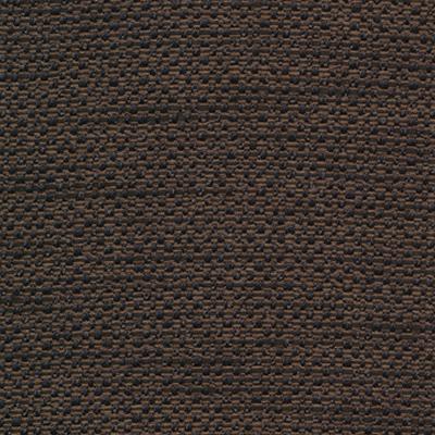Kasmir Standing Ovation Jaguar in Rave Reviews Brown Multipurpose Polyester Solid Brown   Fabric