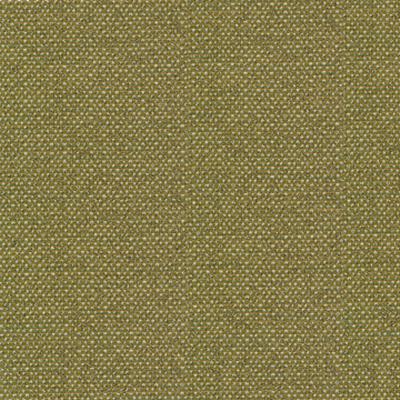 Kasmir Standing Ovation Leek in Rave Reviews Green Multipurpose Polyester Solid Green   Fabric