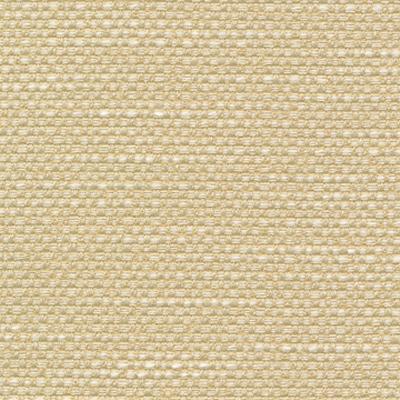 Kasmir Standing Ovation Sunlight in Rave Reviews Multipurpose Polyester Solid Beige   Fabric