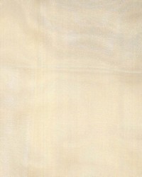 Status Sage by  Kasmir 