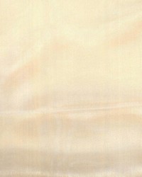 Status Wheat by  Kasmir 