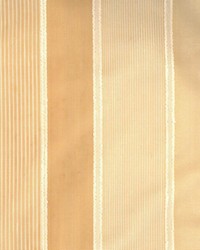 Steele Camel by  Kasmir 