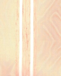 Stout Melon by  Kasmir 