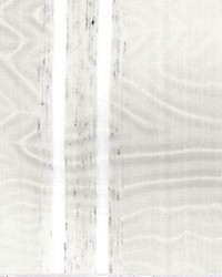 Stout Pearl by  Kasmir 