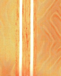 Stout Tangerine by  Kasmir 