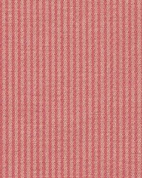Stripe 205 Coral by  Kasmir 