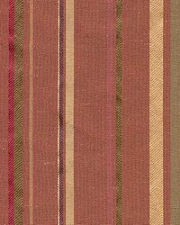 Stripe 245 Spice by  Kasmir 
